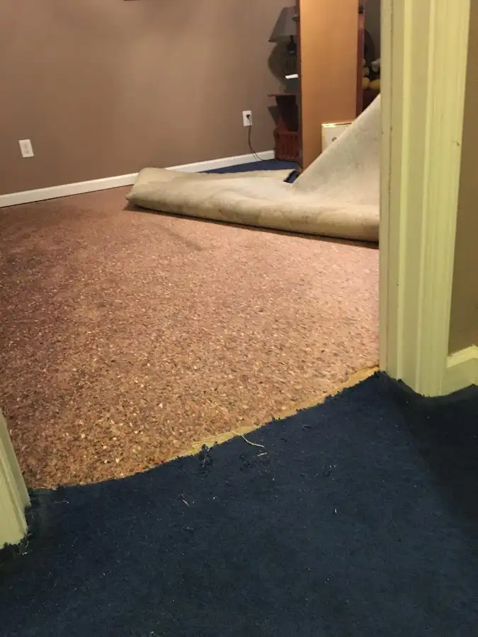 Carpet pad removal revealing water damage during Drying & Dehumidification in Big Flats