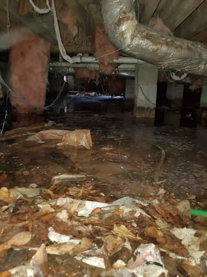 Crawl space flood assessment for Leak Detection & Repair in Big Flats