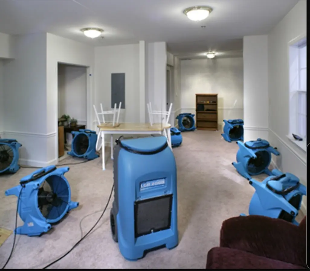 Air movers and dehumidifier setup for Water Extraction & Removal in Big Flats