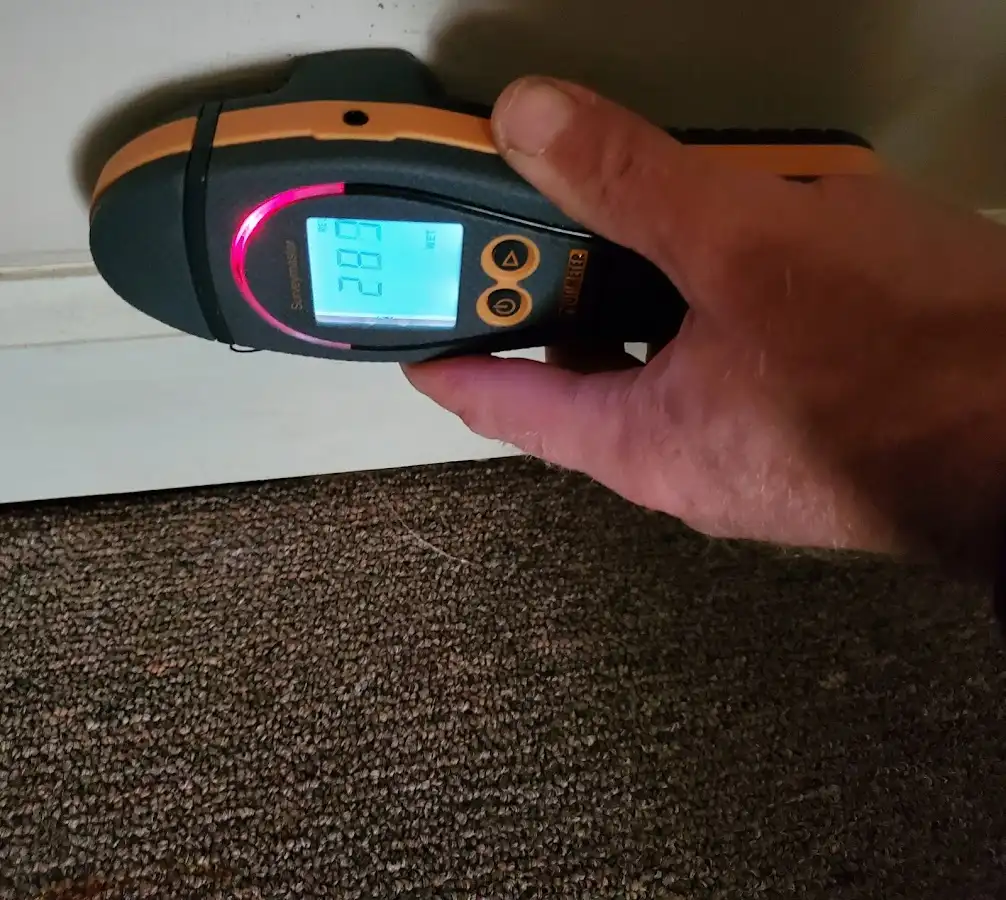 Moisture detection at baseboard during Sewage Cleanup & Sanitation in Big Flats